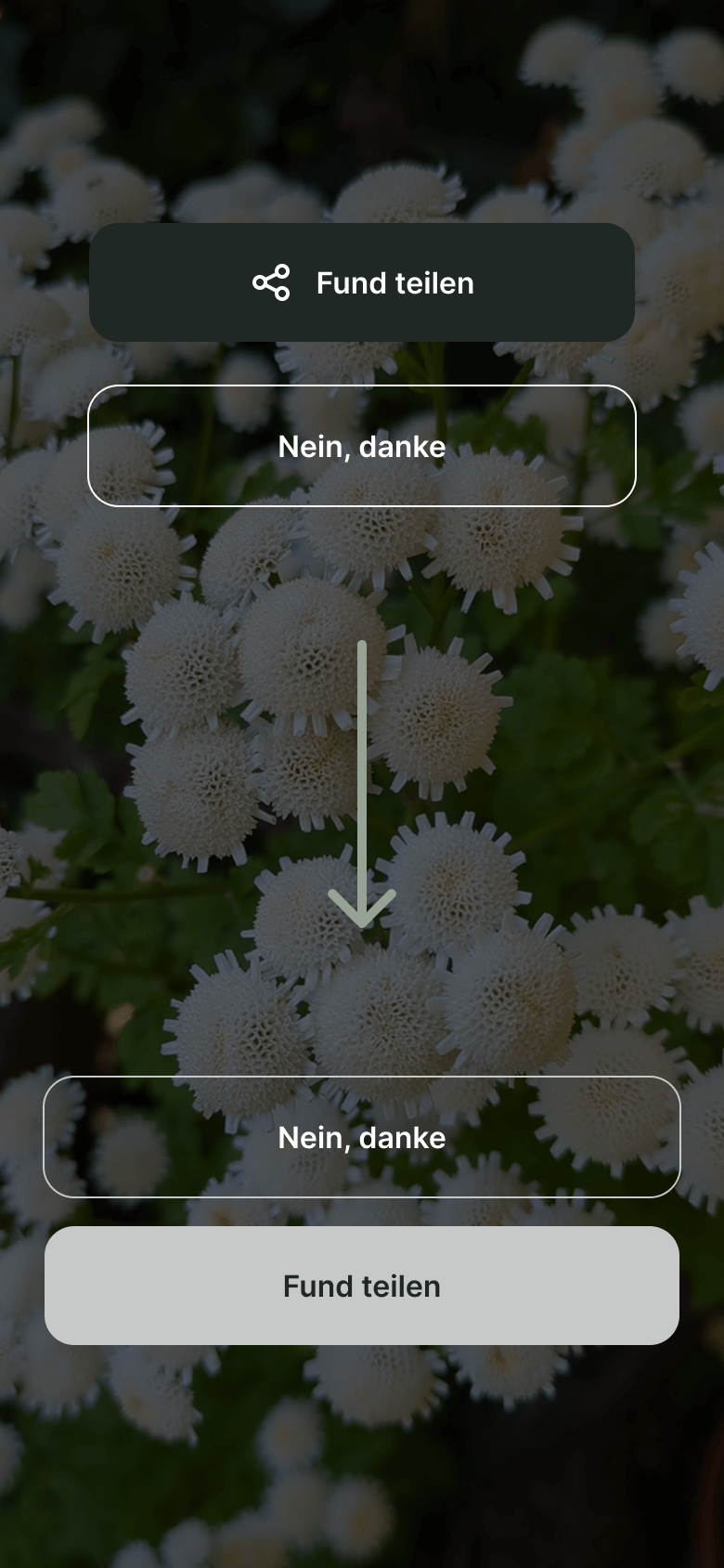 Button Iteration Vergleich